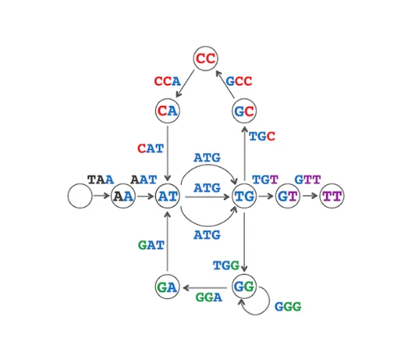 Mini Genome Assembler